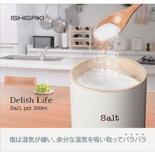 Сольница Исигаки, Белая, 300 мл, с прокладкой, Влагопоглощающая, Сохраняет приправы сухими, Диаметр 9,5 см x Высота 9 см, DL 4350