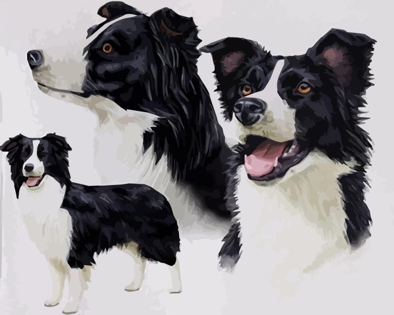 40x50 см живопись по номерам собака рисунок на холсте ручная роспись живопись искусство подарок DIY фотографии по номерам наборы животных домашний декор