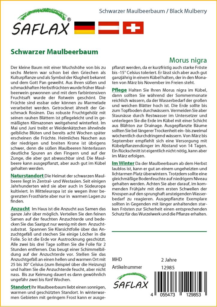 SAFLAX Подарочный набор - Черная шелковица - 200 семян - С подарочной коробкой, карточкой, этикеткой и субстратом для горшков - Morus nigra