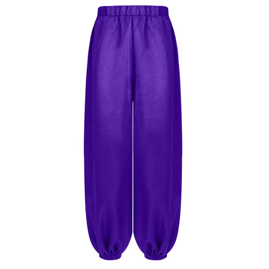 Boys Arabian Prince Costume Open Front Vest and Satin Bloomers Pants Set Halloween Theme Party Outfit