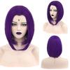 Women Raven Superhero Purple Short Bob Straight Wig with Widow's Peak Synthetic Hair Cosplay Wig for Halloween Costume Party