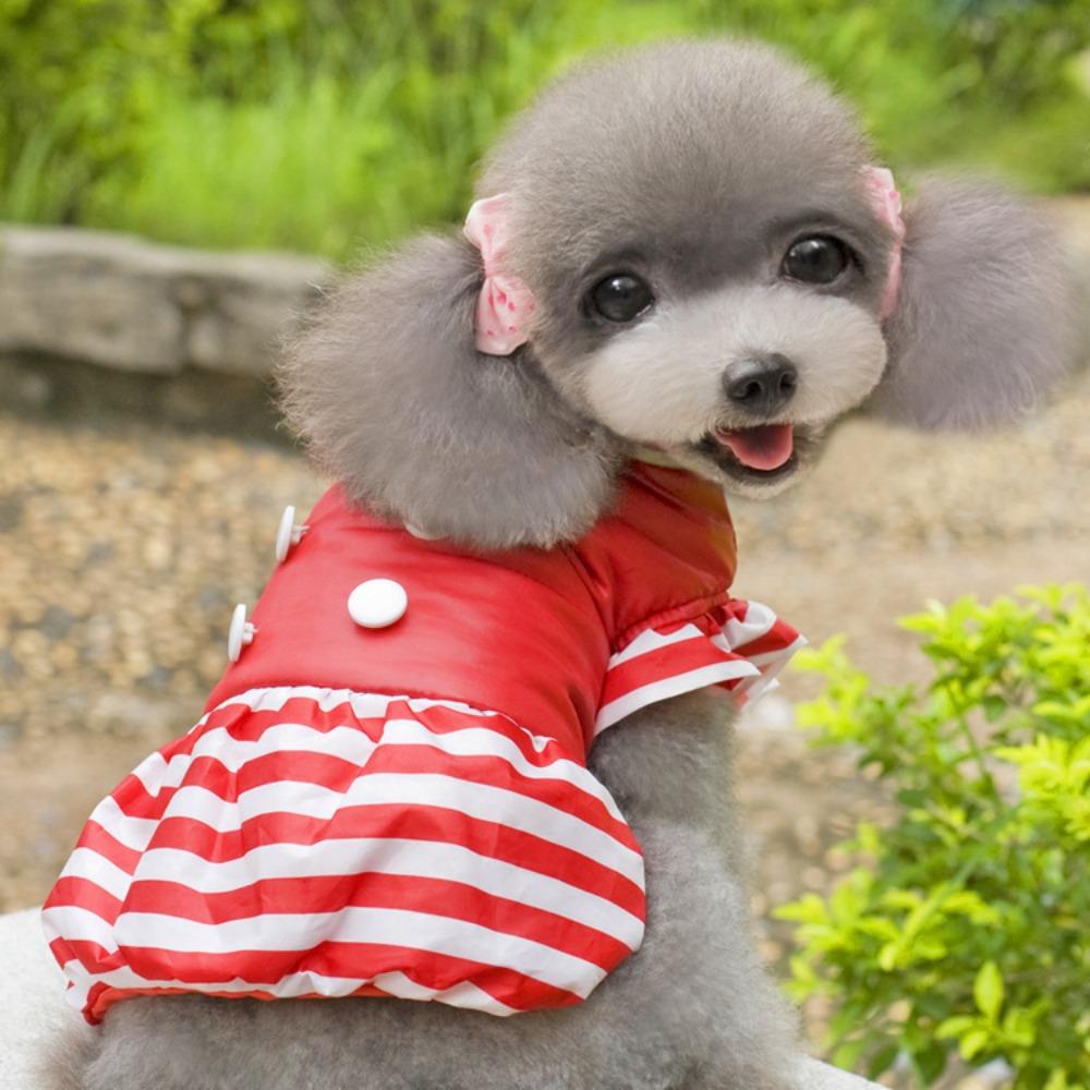 Осень и зима щенок тедди померанского шпица питомец зимний кот цветочный летящие рукава маленькая собака двухлапое платье с хлопковой подкладкой