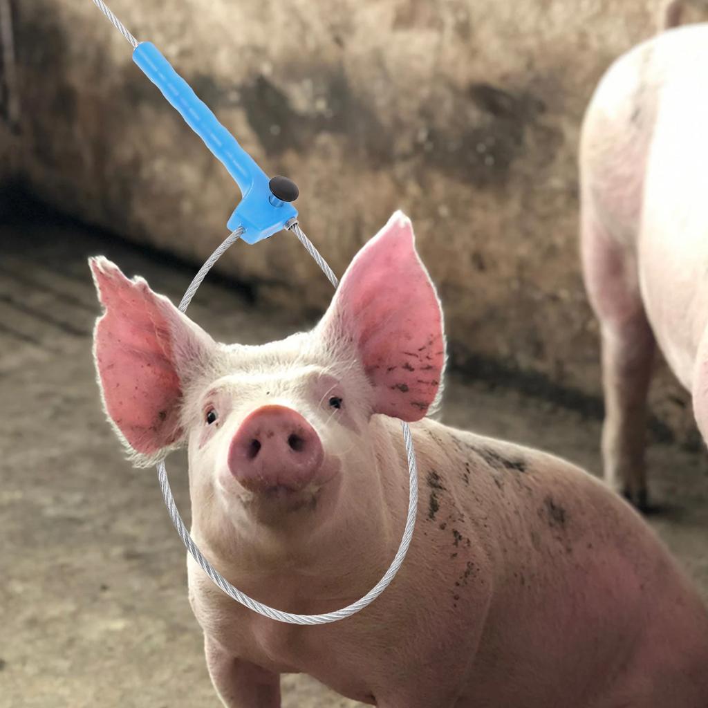 Удобный шест для отлова, фермерский ловец свиней, портативный ловец овец, принадлежность для отлова