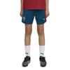 PUMA Portugal 25/26 Training Shorts 100% Recycled Polyester Multicolore