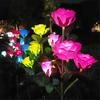 Garden Solar Decorative Lights, Outdoor Waterproof Realistic Artificial 5 Rose Flowers for Backyard Pathway Porch Yard Decor