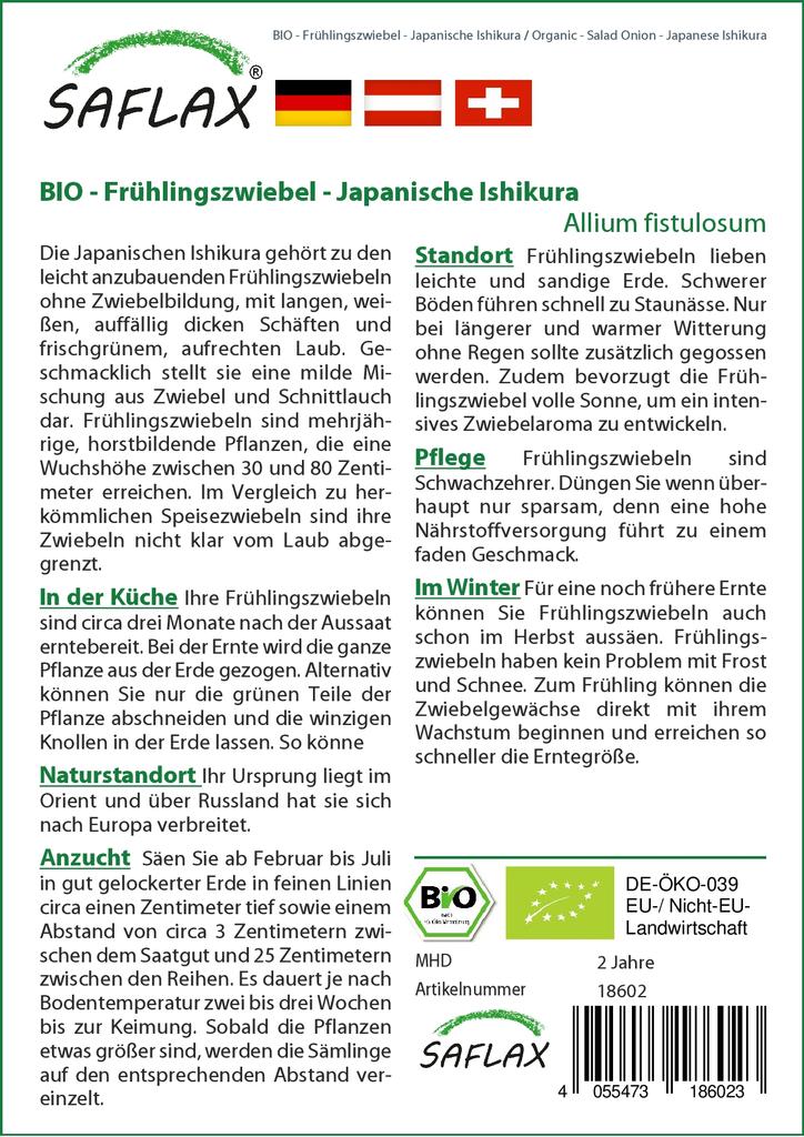 SAFLAX Gift Set - Organic - Salad Onion - Japanese Ishikura - 150 Seeds - With Gift Box, Card, Label and Potting Substrate - Allium Fistulosum