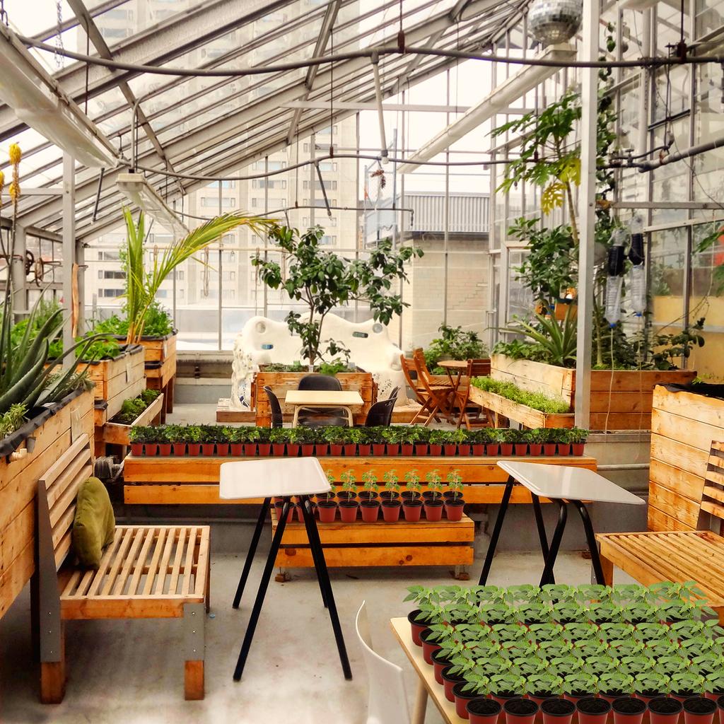 Рассадные горшки с куполами влажности, 40 наборов 4-дюймовых мягких рассадных горшков (40 баночек + 40 прозрачных крышек), Горшочки для рассады Маленькое растение