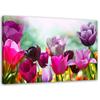 Canvas Print Tulips Purple Flowers Nature