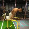 Jianli Multifunctional Indoor Pull-up & Parallel Bars