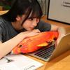 Cartoon Simulated Sea Fish Pillow Hugging Pillows Fish Anime Pillow Dolls  Toy for Little Kids