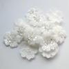 5 Pcs 3D White Flower Sequins Beaded Lace Patch Repair Applique DiY Clothing Decoration Accessories