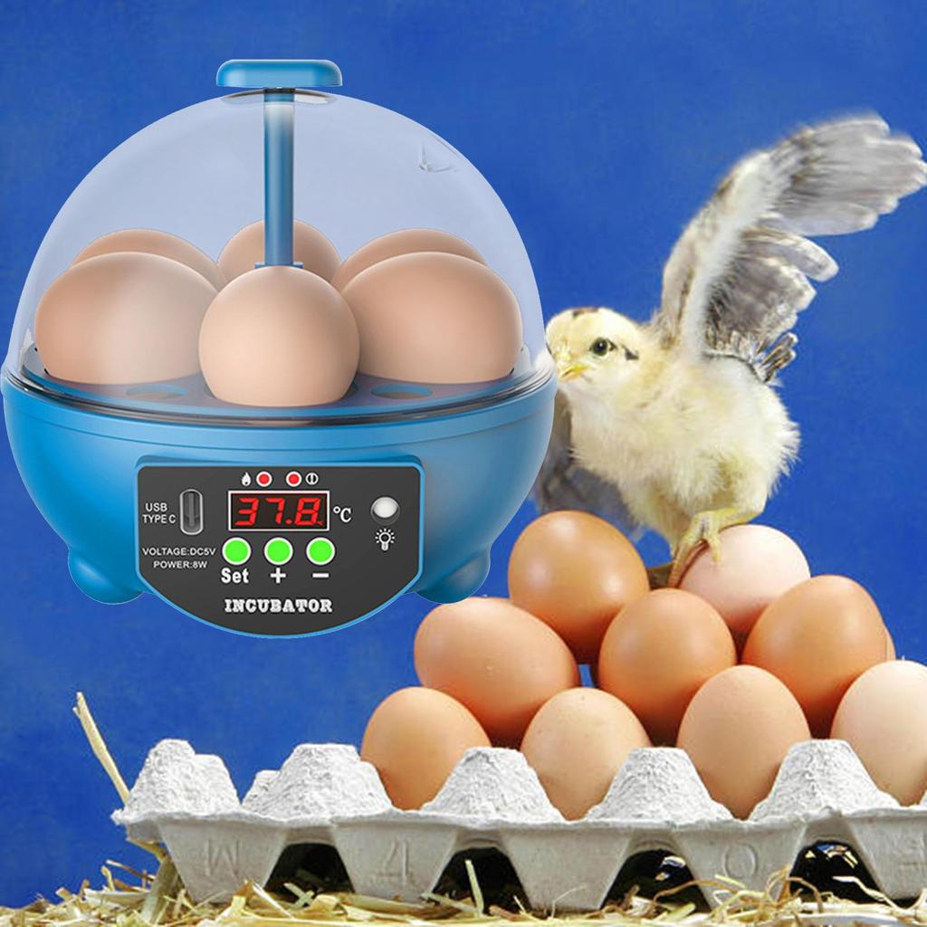 Инкубатор для 6 яиц с контролем температуры, ручным переворачиванием яиц, инкубатор для птицы