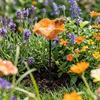Resin Flower Bird Bath Stand Ground Insert Insect Drinking Water Bird Feeding Cup  Lawn Patio