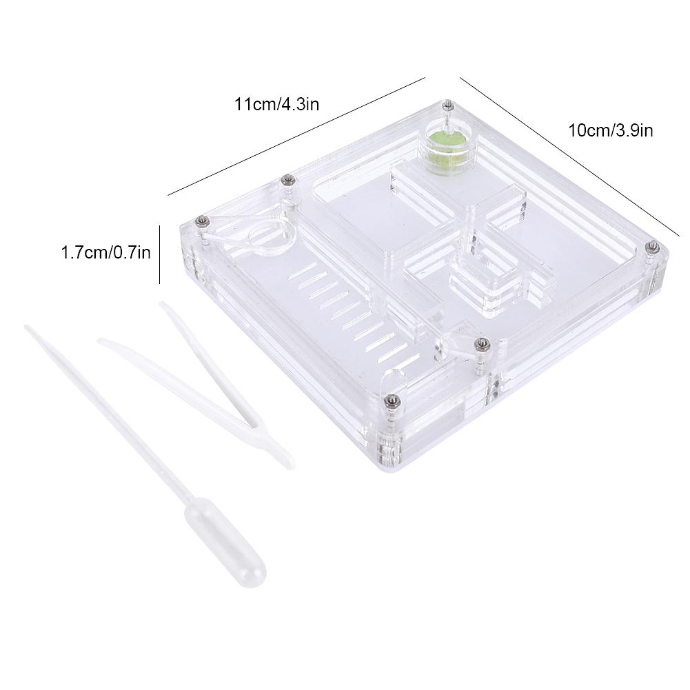 Acrylic Transparent Ant Breeding House Nest Formicarium Display Box Ornamental