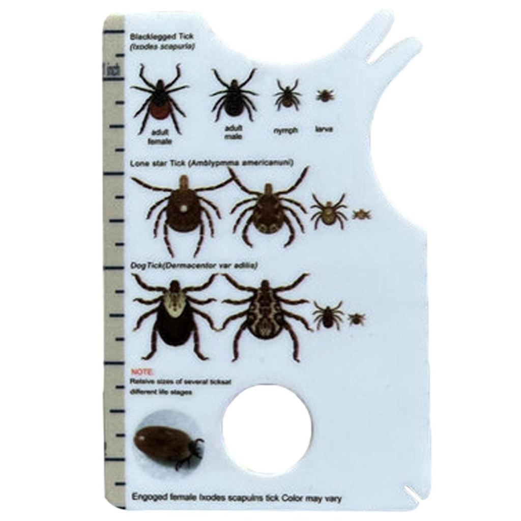 Tick Card Human, Tick Card For Human, Allows Easy Tick Removal, Tick Remover For Dogs And Cats In Handy Pocket Size, 8.5 X 5.4 X 0.1 Cm