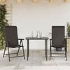 VidaXL Set of 2 Folding Garden Chairs, Patio Seats, Balcony Chairs, Outdoor Gardening Patio Furniture, Cafe 4007139