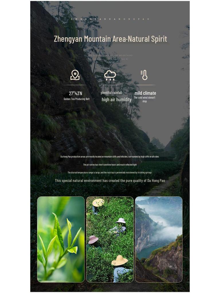 Уишань Дахунпао Подарочная чайная коробка высокого класса к середине осени