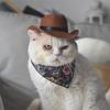 Pet Cowboy Hat Mini Pet Cosplay Cap Dress-up Bandana Scarf Halloween Costume Accessories for Small Medium Dogs Cats Party Decoration
