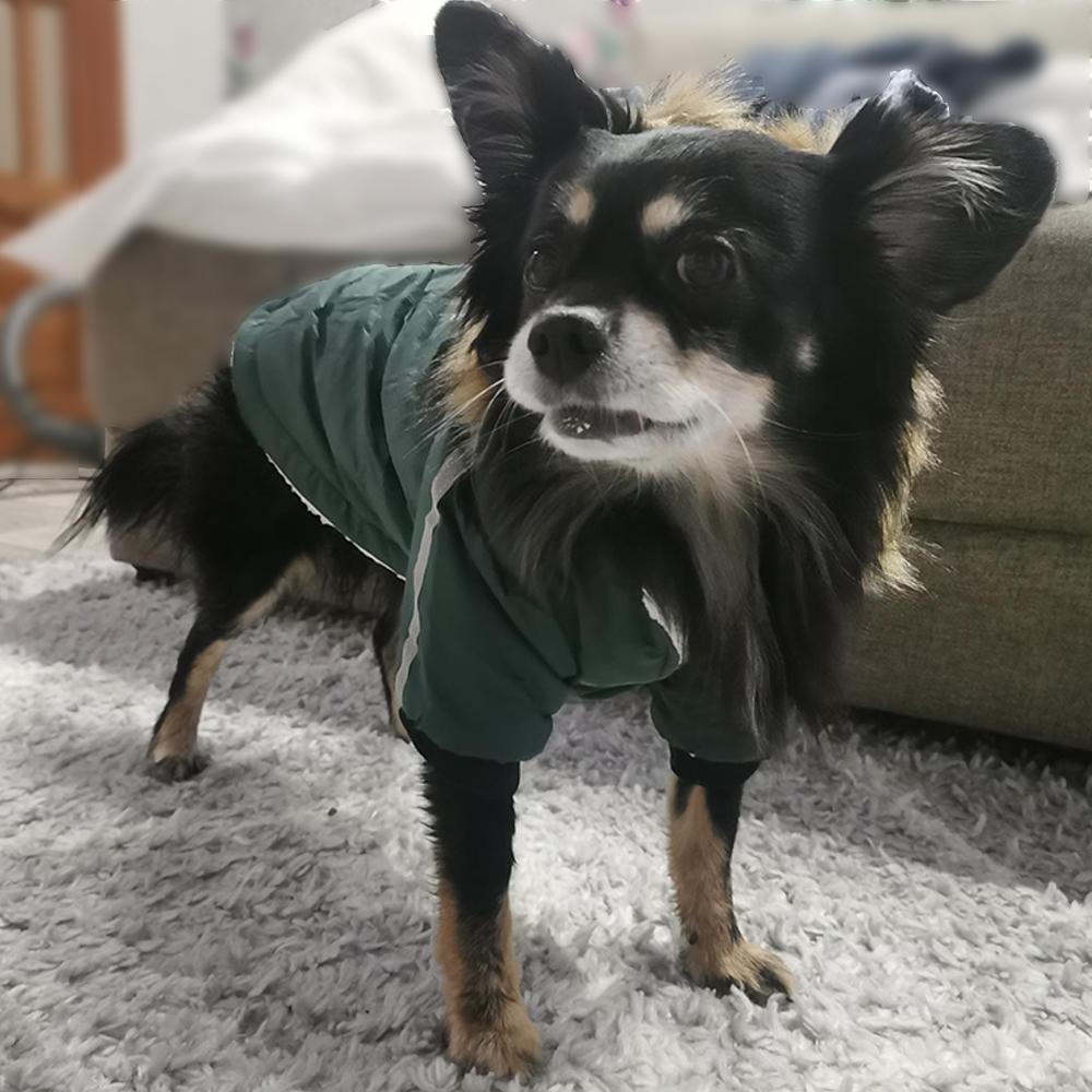 Зимняя одежда для домашних животных, водонепроницаемая куртка для собак для маленьких и средних собак, теплый костюм для щенков, наряды для французского бульдога, светоотражающая куртка, одежда для чихуахуа