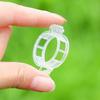 Secured Plastic Plant Clips Plant Fixing Buckle Clips Smooth Edge Vine Design Garden Plant