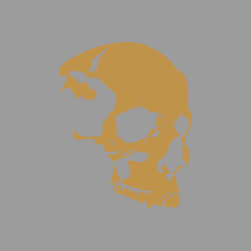 Расширенная текстура скелета черепа Дизайн приключений на открытом воздухе, наклейки для приключений на открытом воздухе украшения на природную тематику прочный винил