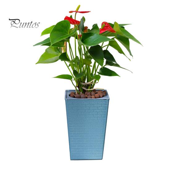 Self-Watering Plant Pot with Drainage Holes Automatic Watering Flowerpot Water Storage Planter for Indoor Outdoor Plants