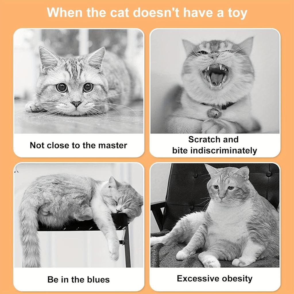 Collapsible S-Shaped Cat Tunnel with 2 Openings, Self-Happy Pet Toy for Kitten/Puppy Play, Perfect for Indoor and Outdoor Use