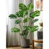 Artificial Indoor Plants & Trees: Monstera, Areca Palm, Jacaranda, Nandina, Rubber Fig - Free Shipping
