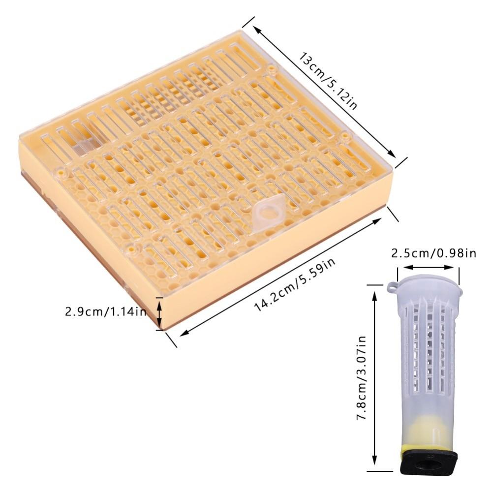 High Quality Plastic Queen Rearing Cup Kit Queen Rearing Cage Set  Raise Your Own Queens