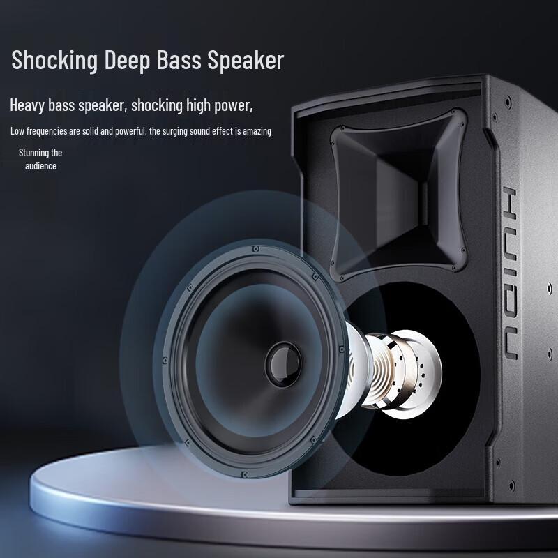 Huidu EM-101 Professional Full-Range Speaker CN plug (adapter included)