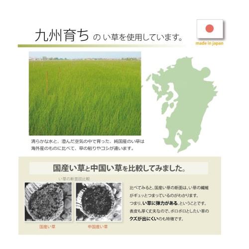 IKEHIKO Kitchen Mat, Made in Japan, Igusa Grass, Polka Dot Pattern, F Drop, Green, Approx. 80 x 270 cm, #8230930