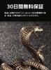 Brass Crafts Zodiac Snake Snake Zodiac Year of the Snake Feng Shui Goods Amulet Prosperous Business Good Luck Ornament Lucky Charm X 4 X 3 (4 Cm)