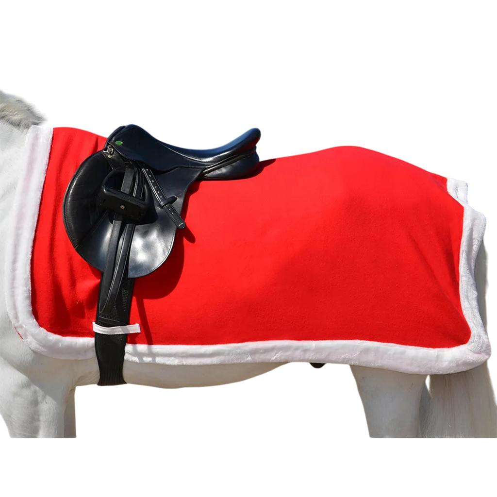 Hy Standard-Neck Santa Christmas Horse Exercise Sheet