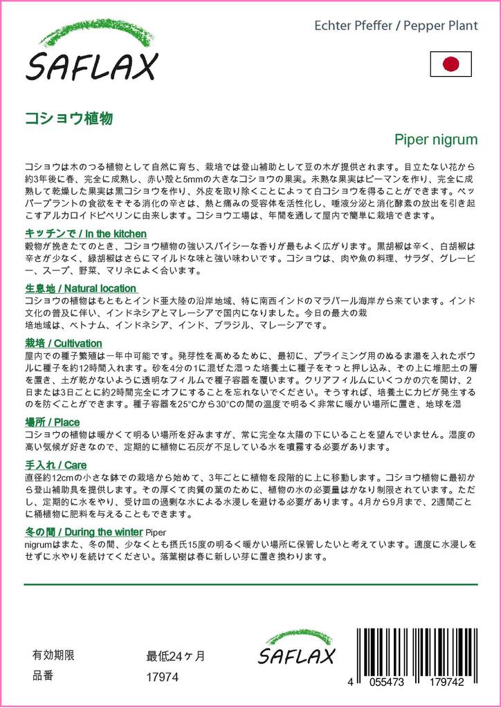 SAFLAX Garden in the Bag - Растение перца - 20 семян - С субстратом в подходящем пакете - Piper nigrum