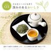 Iris Ohyama Green Tea Labelless 500ml X 24 Teas Made In Shizuoka Prefecture Tea Leaves Case Plastic Bottle 500ml Bottle Made In Japan Ocha