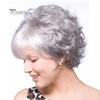 Beautiful Secret Grandmother Gray Short Curly Wig Fluffy Matte Synthetic Hairpiece