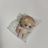 PLAVE Sealed) Wapya Noah Doll