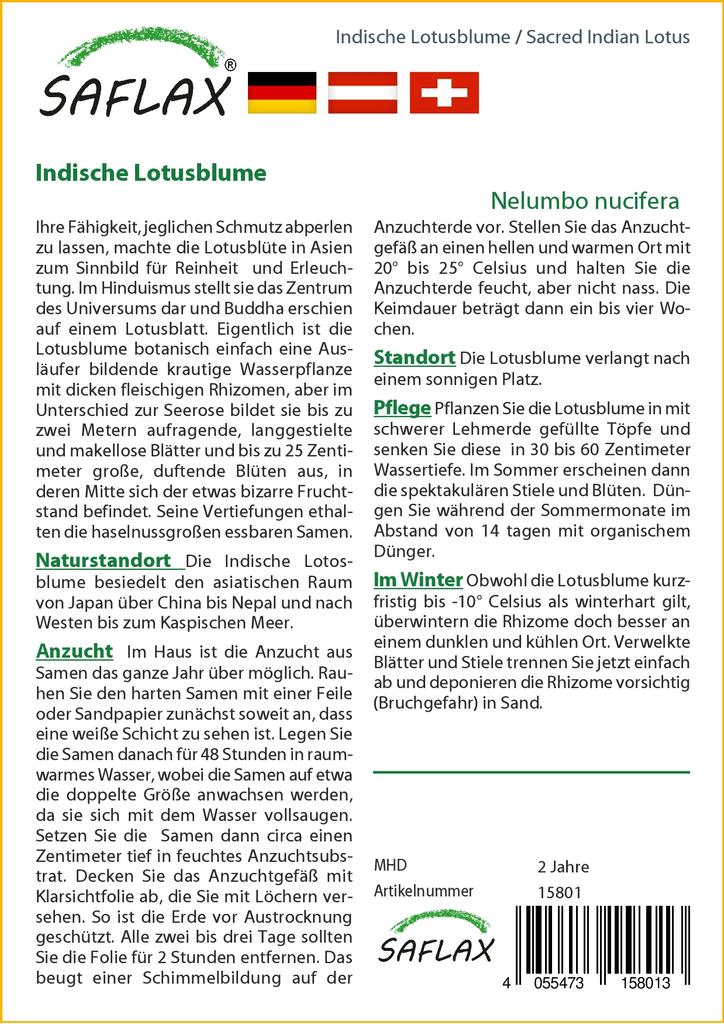 SAFLAX Garden in the Bag - Священный индийский лотос - 8 семян - С субстратом в подходящем пакете - Nelumbo nucifera