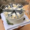 Cake Cutter Slicer Stainless Steel Pizza Pie Cutter 6/7/8 Equal Portion Marker Round Bread Divider Pastry Cheese Pizza Cutter