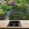 Flexible Pond Liner Pond Liner Garden Landscaping 10x10ft Flexible Installation Aquatic Safe Easy Installation