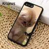 Мягкий чехол для телефона Krajews Cute Kittens cat для iPhone 14 5 6s 7 8 plus X XR XS 11 12 13 pro max Samsung Galaxy S21 S22 ultra