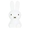 Mr. Maria Bundle of Light Cordless LED Light, Miffy MM-009M