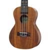 ARIA Aria Concert Ukulele Koa Wood with Back ACU-1K