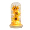 Preserved Flower Glass Dome Artificial Simulation Sunflower with LED Light for Valentine"s Day