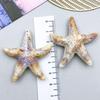 Новый акриловый кулон-шарм в виде морской раковины и морской звезды для браслетов и ожерелий DIY