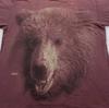 Винтажная футболка 90-х GRIZZLY BEAR XL природа животное