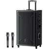 Портативная Bluetooth-колонка для караоке Newsmy N539, 15 дюймов, штекер CN (адаптер в комплекте) (Китайская версия)