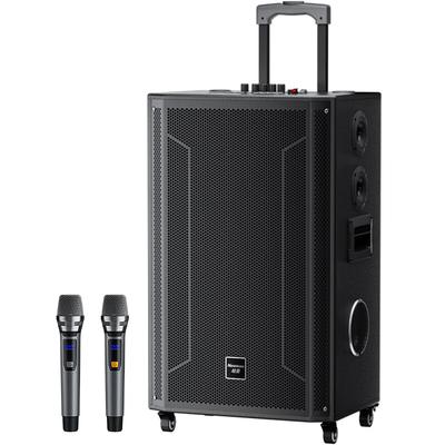 Портативная Bluetooth-колонка для караоке Newsmy N539, 15 дюймов, штекер CN (адаптер в комплекте)