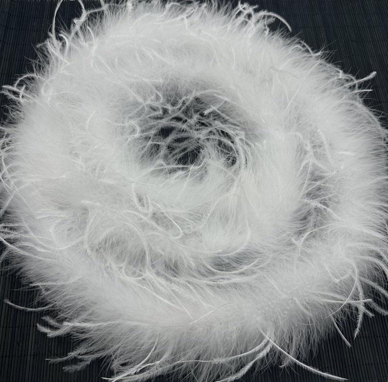 DIY 1 Ply Ostrich Feathers Boa 2Meters Shawl for Party Lady Dress Decoration Scarf Clothing DIY
