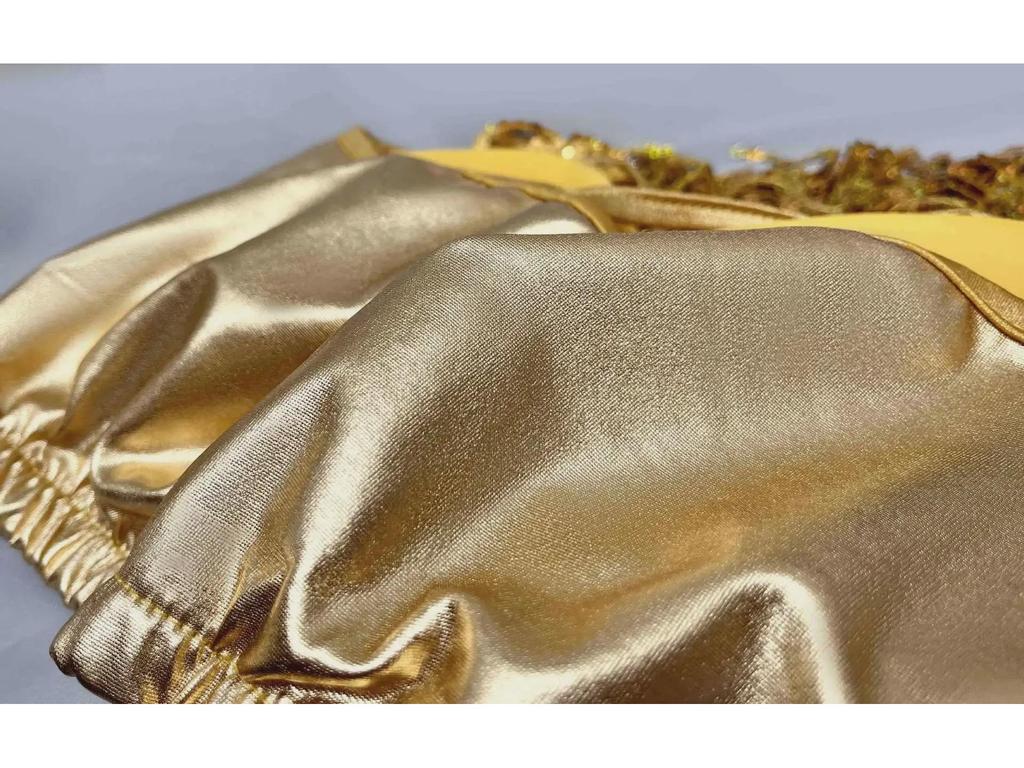 Sequined Tassel Latin Dance Dress for Women - Stage Performance Costume